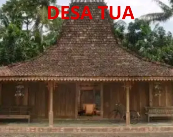 DESA TUA